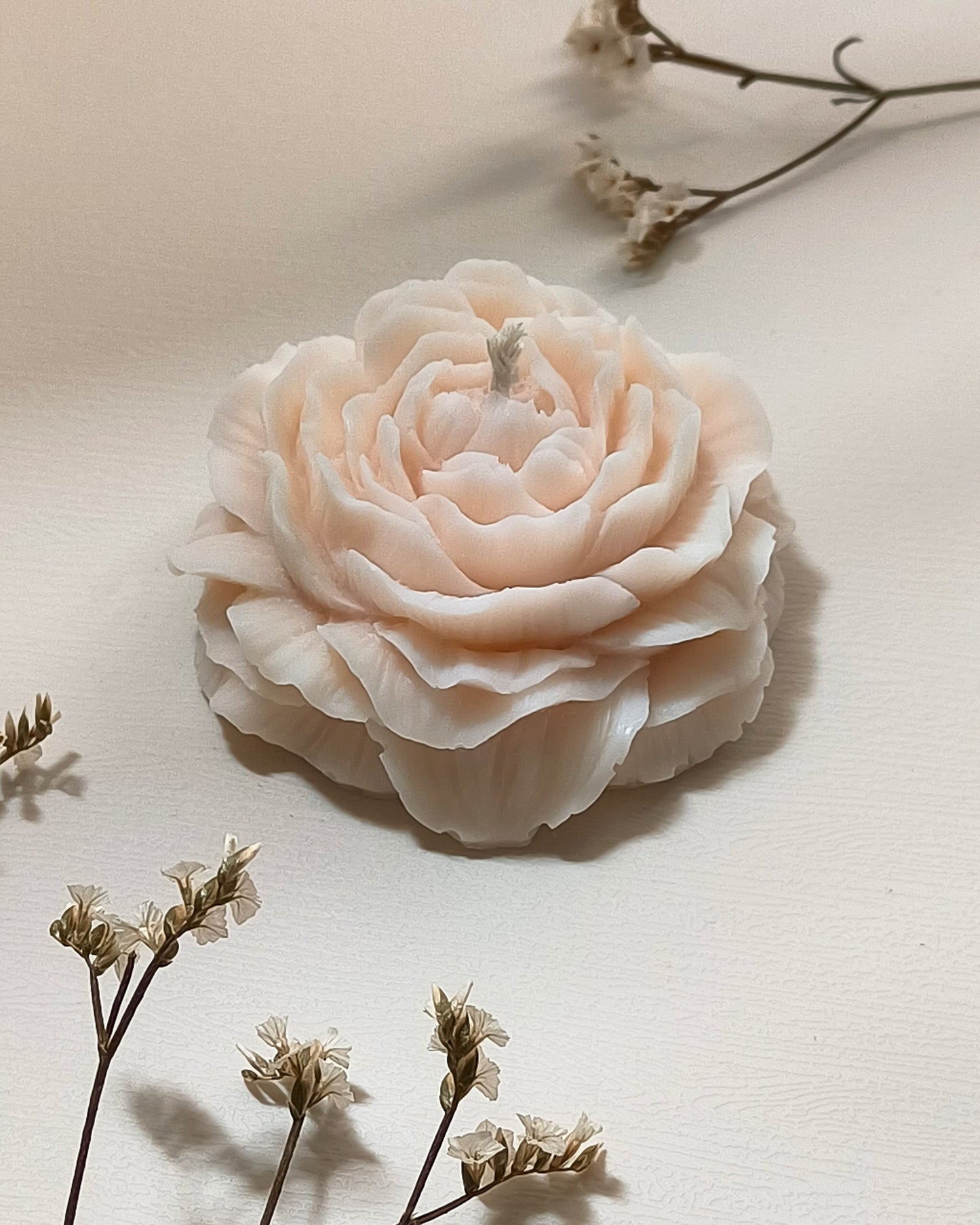 Peonia