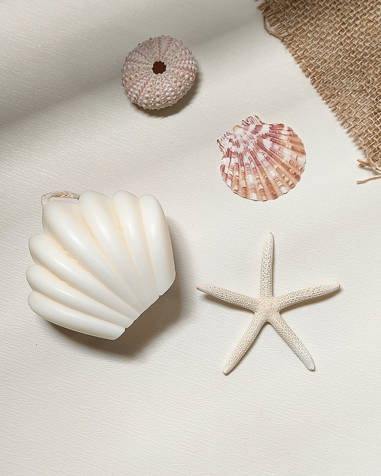 Scallop Shell Candle